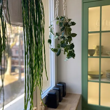Apartment Sunny